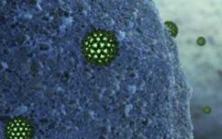 Заразен ли гепатит Б в быту и как передается?