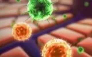Заразен ли гепатит Б в инкубационном периоде?