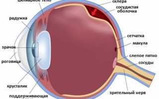 Чем опасно отслоение сетчатки глаза и как его исправить?