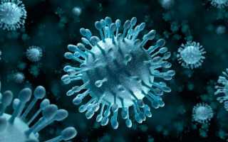 Излечим ли хронический вирусный гепатит Б полностью и сколько живут с этой болезнью при поддерживающем лечении?