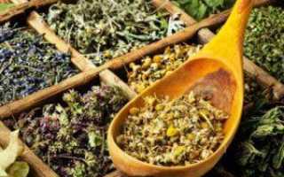 Расторопша, бессмертник и другие травы, эффективные при лечении печени, поджелудочной железы и желчного пузыря