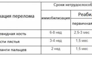 Реабилитация после перелома кисти: необходимые упражнения