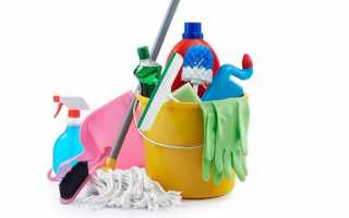 Домашние пылевые клещи: как избавиться в квартире, чем опасны, как выглядят
