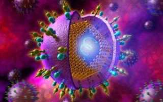 Что значит генотип 1b вируса гепатита С?