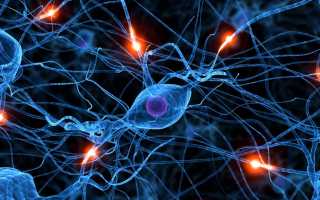 Полная и частичная агенезия мозолистого тела головного мозга