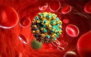 РНК, генотип, anti HCV — как сдавать анализы на гепатит С